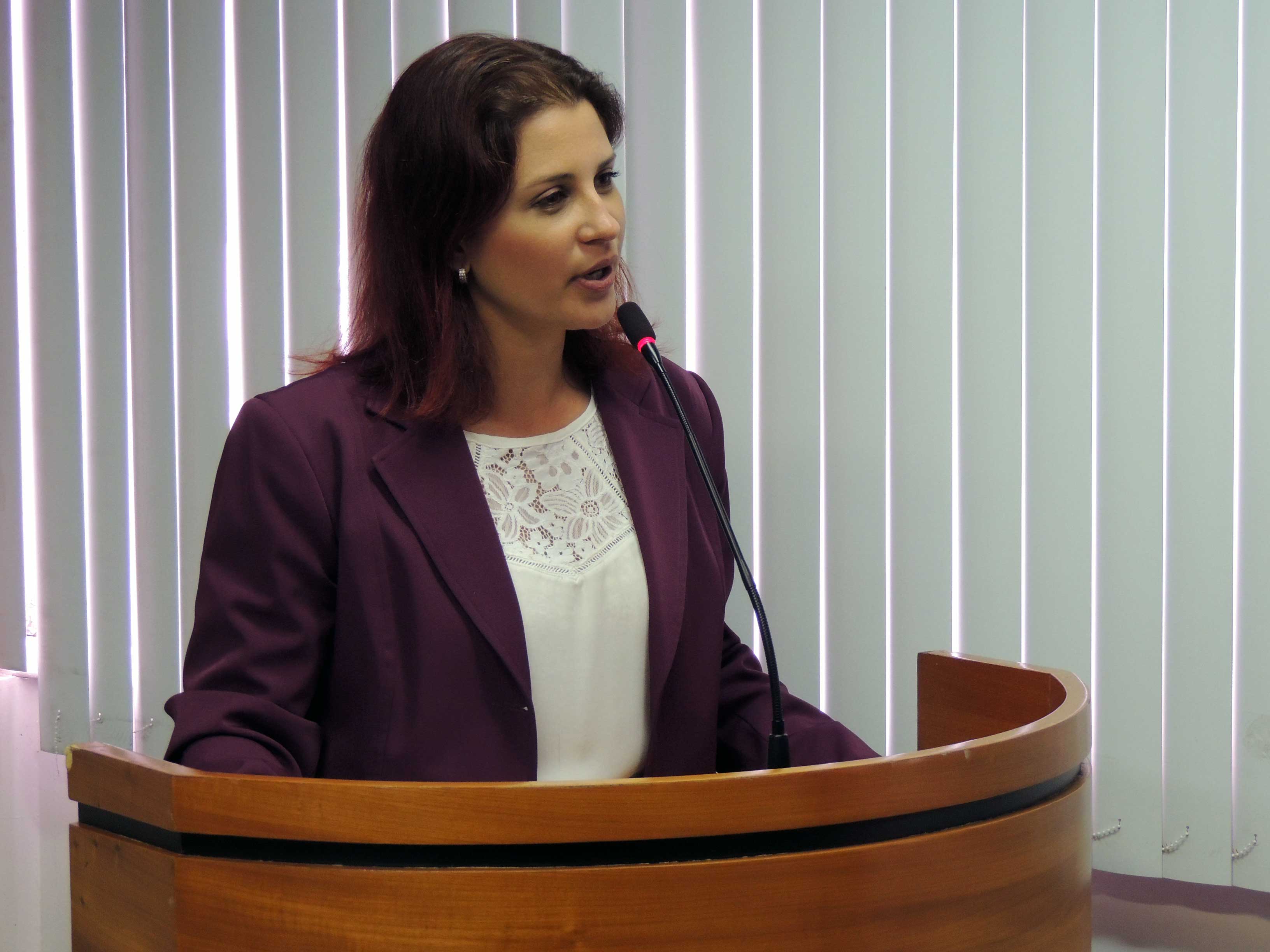 Mayra Regetz Monteiro &eacute; vice-presidente da Comiss&atilde;o de Est&aacute;gio