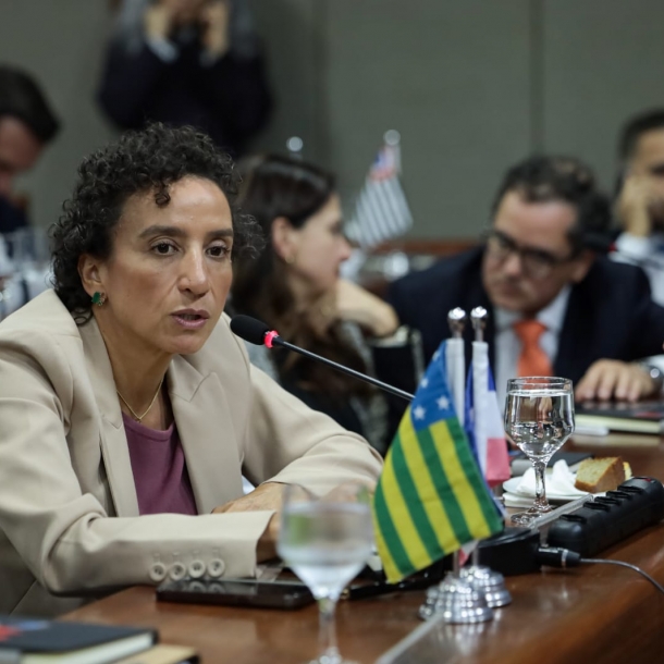 Em Brasília, Erica Neves leva posição da advocacia capixaba ao debate nacional da OAB sobre crise no STF