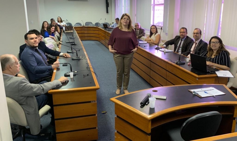 A advogada colaborativa Márcia Monteiro falou sobre o tema no plenário da OAB