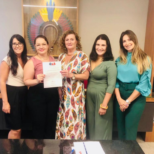 Presidente em exercício da OAB-ES nomeia Comissão de Direitos Humanos