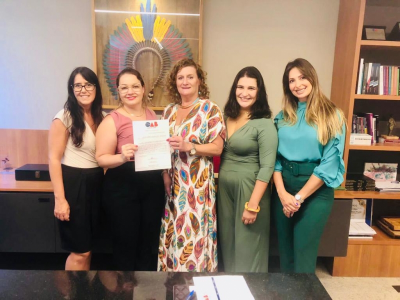 Presidente em exercício da OAB-ES nomeia Comissão de Direitos Humanos