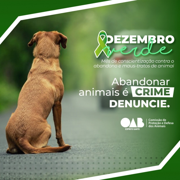 OAB-ES lança campanha de combate ao abandono de animais e arrecadação de ração