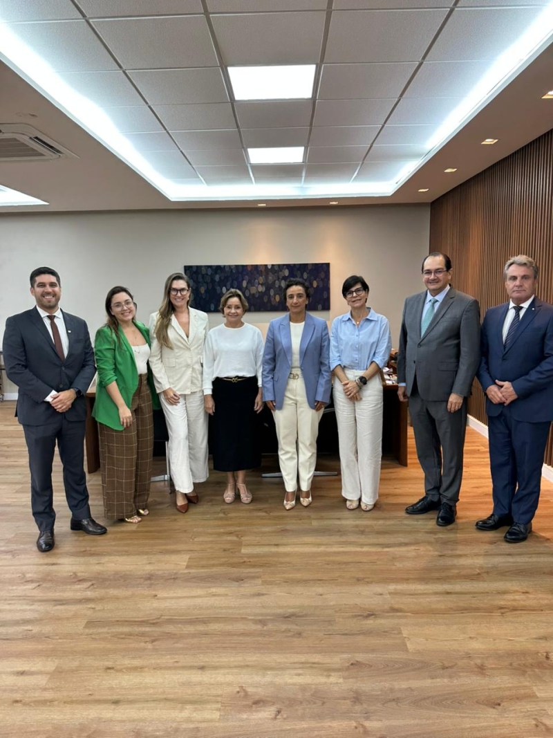 OAB-ES articula pautas da advocacia e TJES apresenta medidas para melhorias