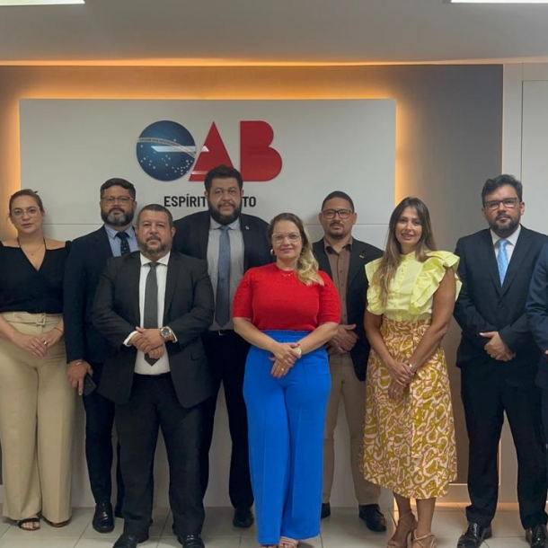 Comissão Especial de Segurança Pública da OAB-ES toma posse e inicia suas atividades