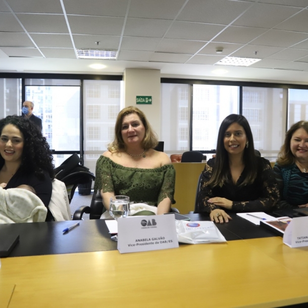 Vice-presidente da OAB-ES participa do I Colégio de Lideranças Femininas em Brasília