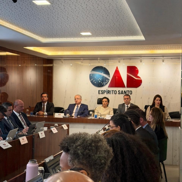 Conselho Pleno da OAB-ES debate atualização da tabela de honorários e aprova Protocolo Lilás
